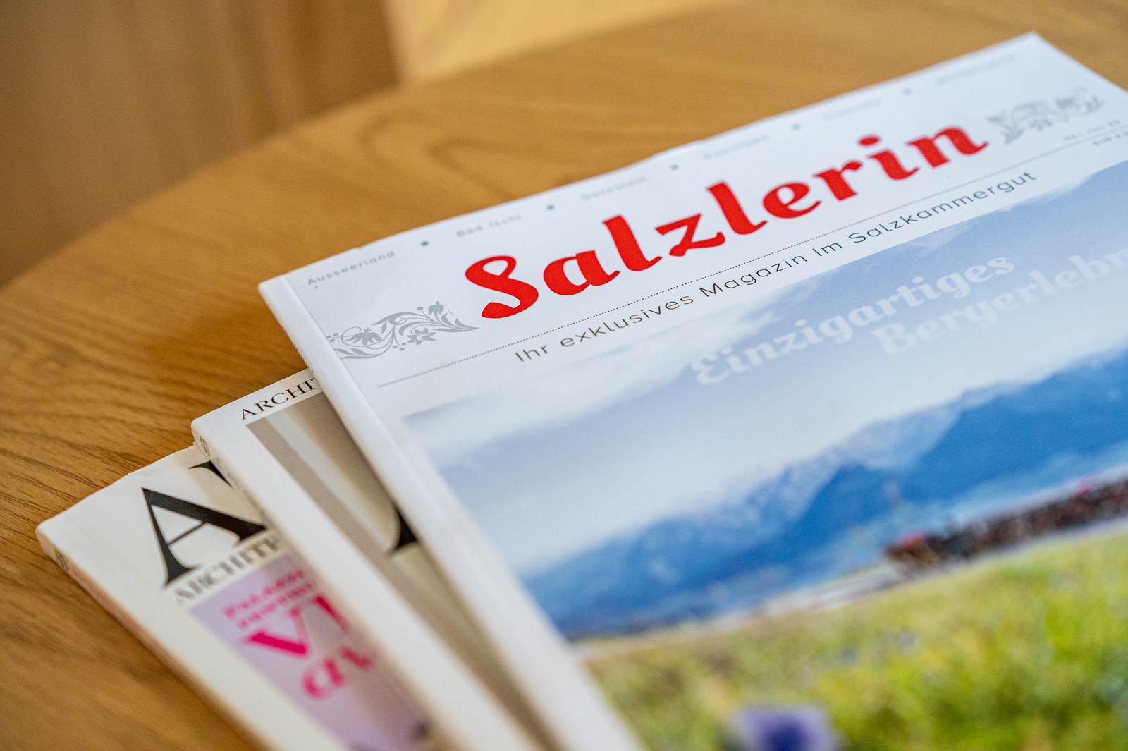 Ferienwohnungen_Traunkirchen_080